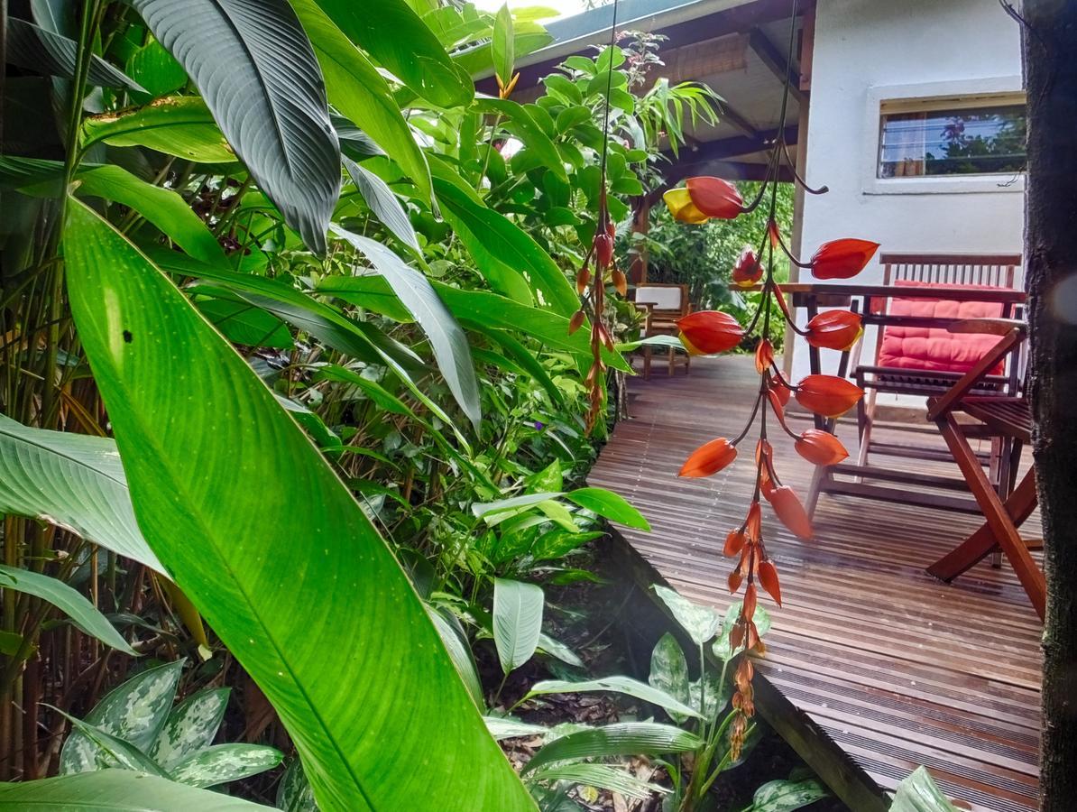 Le Parc Aux Orchidees Villa Pointe-Noire Ngoại thất bức ảnh